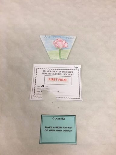 Seed Packet Design