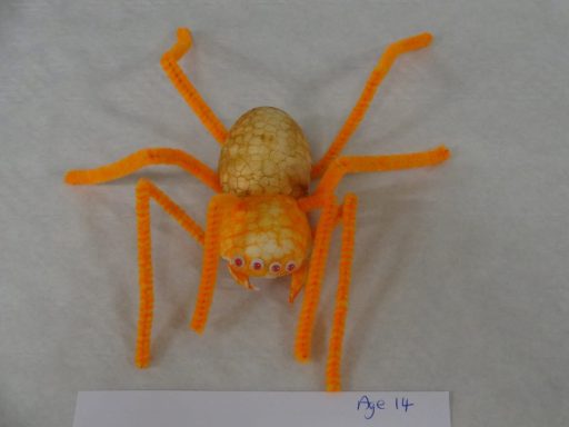 Potato Spider